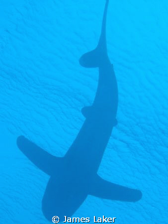Oceanic at Elphinstone by James Laker 