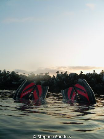 "good day at the jetty" this photo was taken at keystone,... by Stephen Sanders 