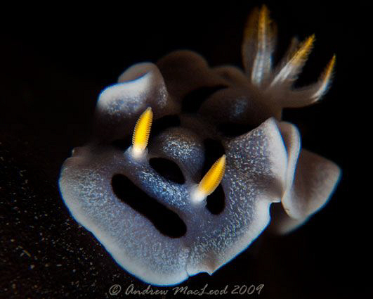 off minado indonesia. canon G10 by Andrew Macleod 