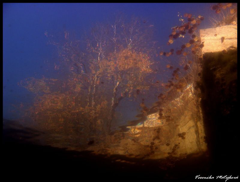 Mysterious view II. by Veronika Matějková 