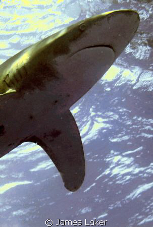 Oceanic up close by James Laker 