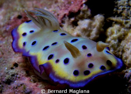 very strong current,visible in the subject..... by Bernard Maglana 