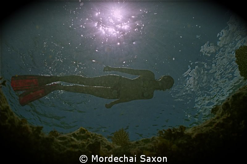 Snorkelers make great models. by Mordechai Saxon 
