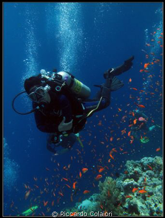 My Wife at Jackson Reef - Canon Powershot G10 + WP-DC28 by Riccardo Colaiori 