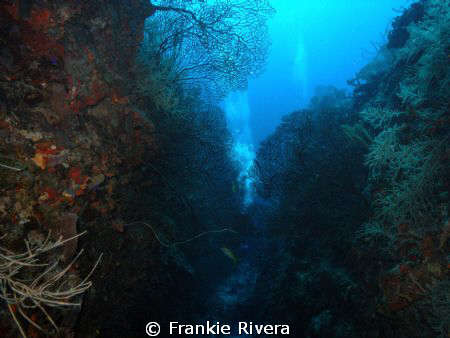 This is the entry to Efra's Wall, one of the most spectac... by Frankie Rivera 