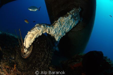 I took this Plane Wreck photo @ Bodrum/Turkiye by Alp Baranok 