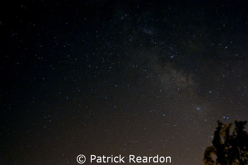 Sometimes you should look up while you are on your dive t... by Patrick Reardon 