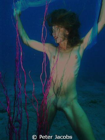 Mystic girl, Divespot Montana roja Playa Blanca Lanzarote... by Peter Jacobs 
