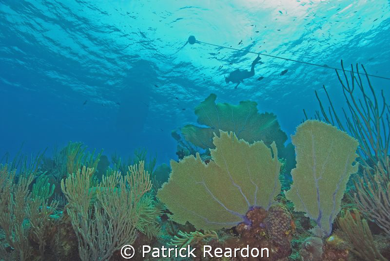 My son, Sean, burning up the gas in his tank swimming nea... by Patrick Reardon 