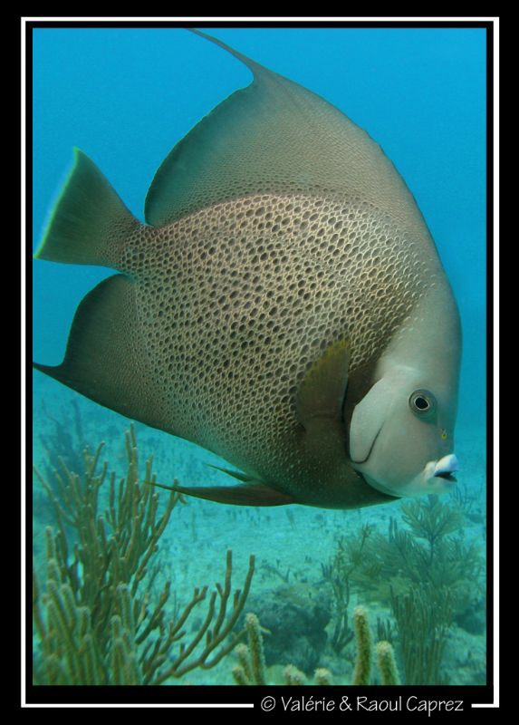 Taken with a Canon G9. by Raoul Caprez 