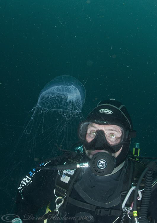 Mark with Medusa. Inishturk. D3, 16mm, 2xtc. by Derek Haslam 