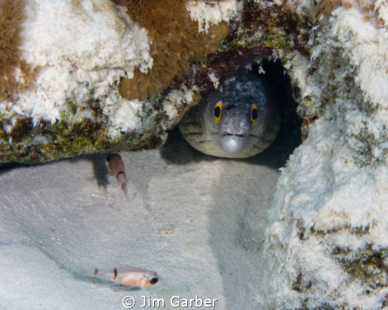 Bonaire by Jim Garber 