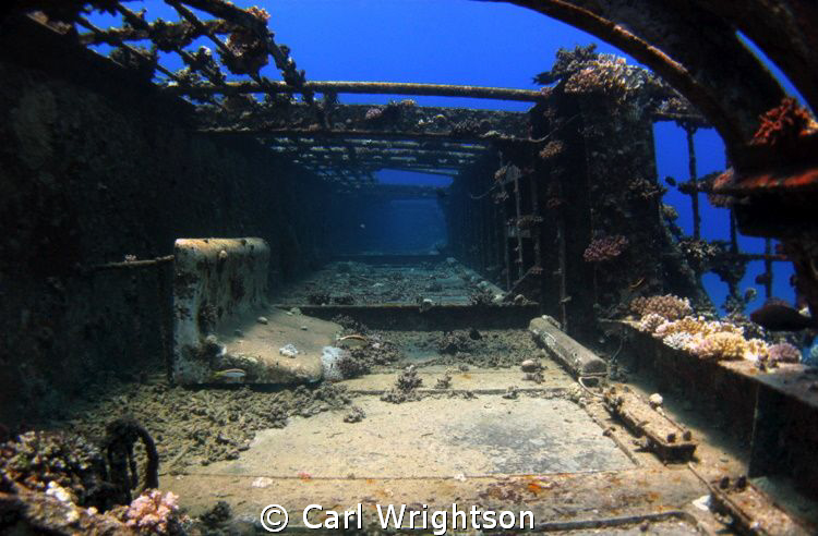 It's not until you tilt your head to the right and look a... by Carl Wrightson 