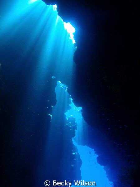 Cave Light, Red Sea, Sharm El Sheik. by Becky Wilson 