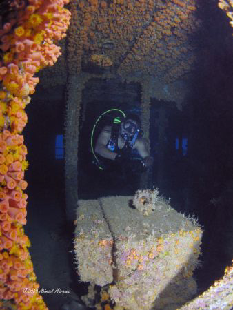 Willy, Witshoal Wreck, St.Thomas. by Abimael Márquez 