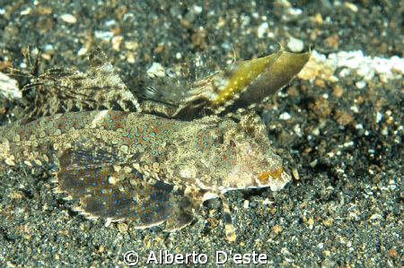 ?????? by Alberto D'este 