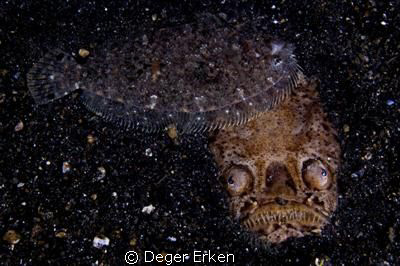 face to face by Deger Erken 