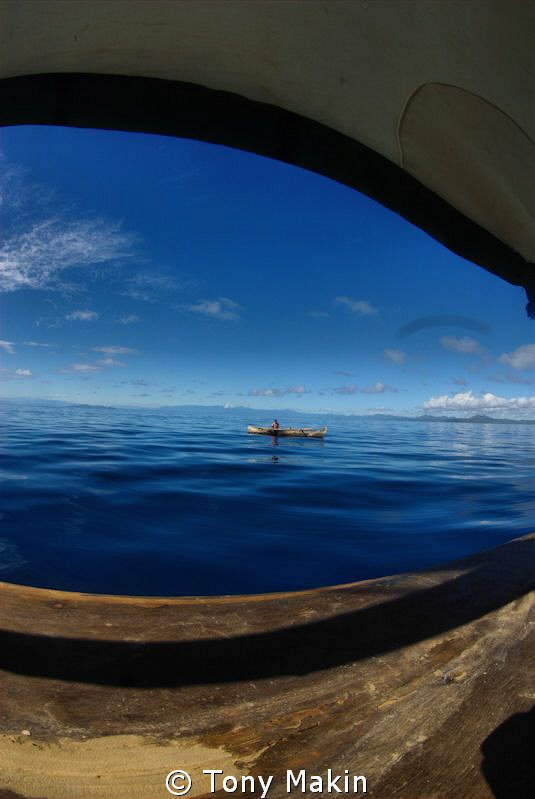 FROM UNDER THE CANOPY by Tony Makin 