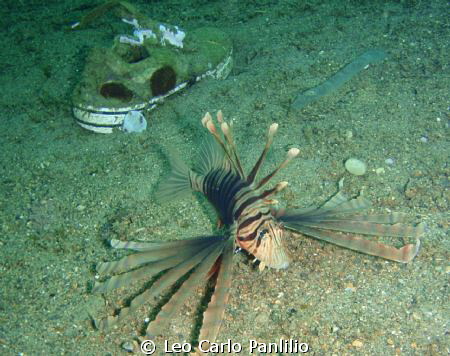 shoo fish! shoo! I cant focus on the shoe by Leo Carlo Panlilio 
