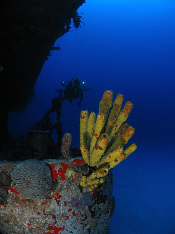 Wreck Alley in St. Croix by Juan Torres 