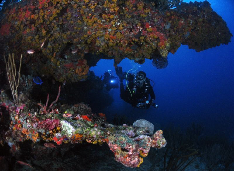 Divers at Blonde Rock, BVI. by Juan Torres 