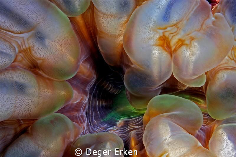 colors by Deger Erken 