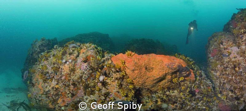 a panorama of 6 vertical pics taken at Batsata rock in Fa... by Geoff Spiby 