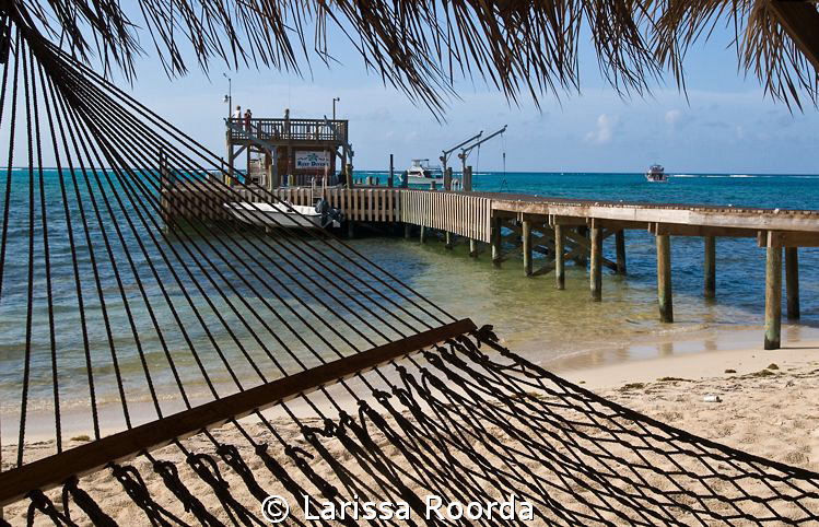 BooHoo! Last morning at Little Cayman.  The dock.  Bummer... by Larissa Roorda 