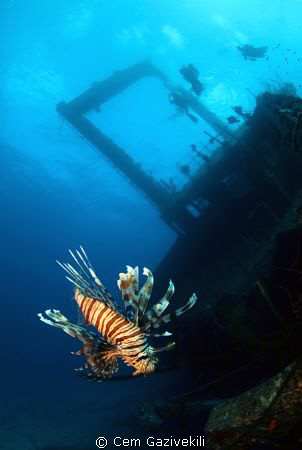 Giannis Wreck by Cem Gazivekili 