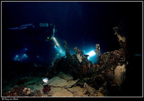 Nightdive by Dray Van Beeck 