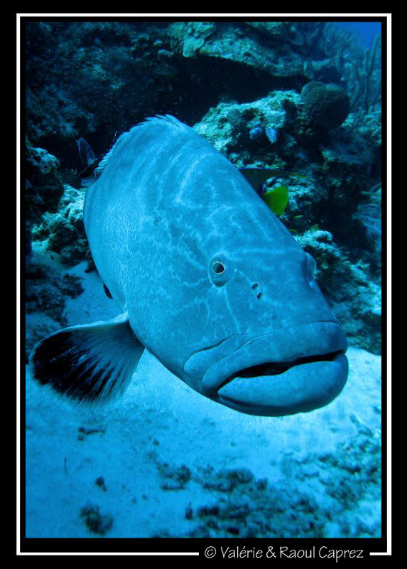 Picture taken with Canon G9. by Raoul Caprez 