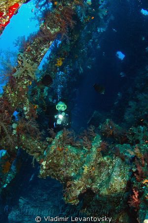 Inside the wreck of SS Carnatic. Canon XSi with Tokina 10... by Vladimir Levantovsky 