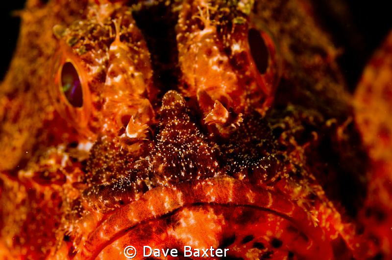 Nikon D50 -60mm lens- a shallow wreck in perth by Dave Baxter 