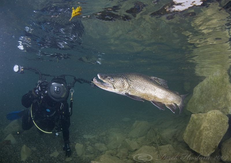 Mark with Hookie. D3, 16mm. by Derek Haslam 