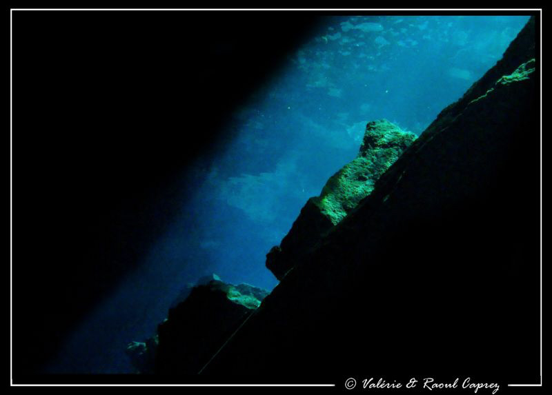 PADI logo - naturel new look.
Picture taken with a Canon... by Raoul Caprez 
