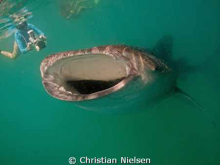 Photo shot in Hani Faru lagoon in the Baa Atoll (Maldives... by Christian Nielsen 