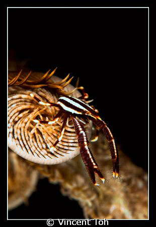 This picture was shot during night by using Canon 5D MK I... by Vincent Toh 