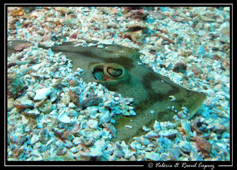 Picture taken with a Canon G9. (La Paz - Mexico) by Raoul Caprez 