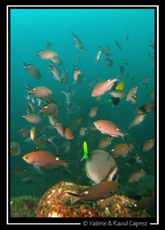 Picture taken with a Canon G9. by Raoul Caprez 