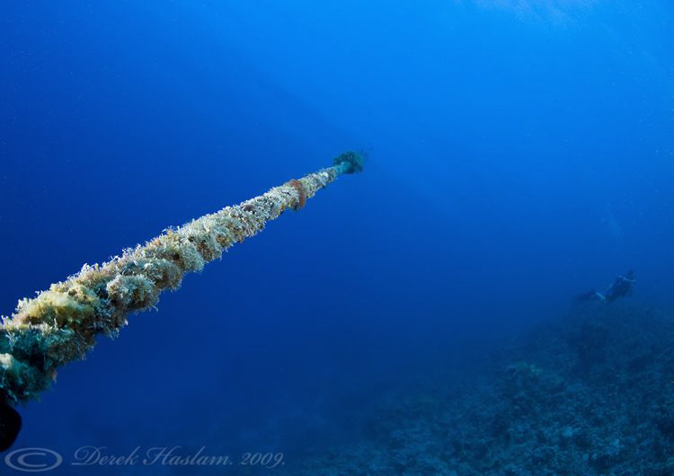 Mooring rope. D3, 16mm. by Derek Haslam 