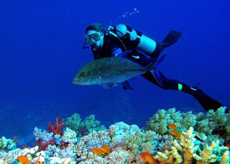 This was an 'opportunity' shot of one of my fellow divers... by Carol Cox 