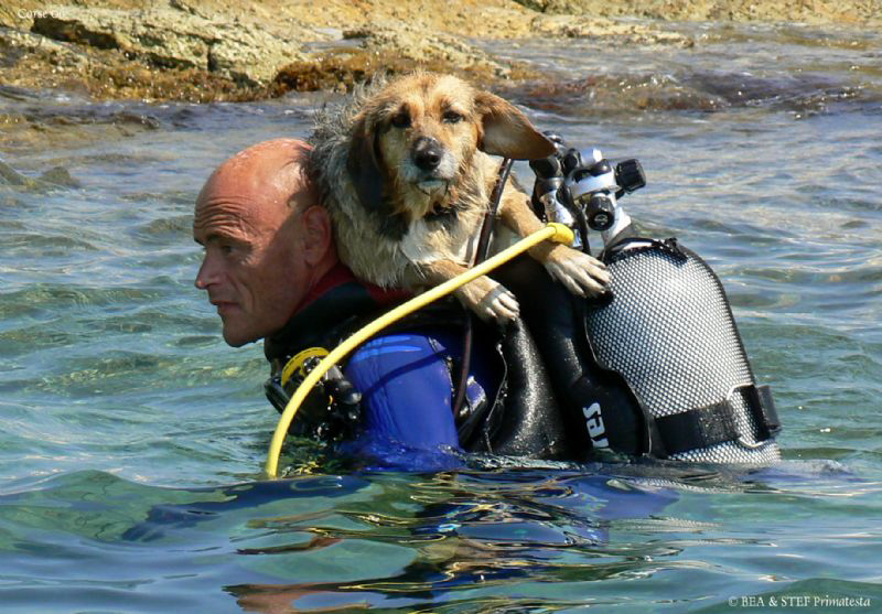 Buddy ;-) by Bea & Stef Primatesta 