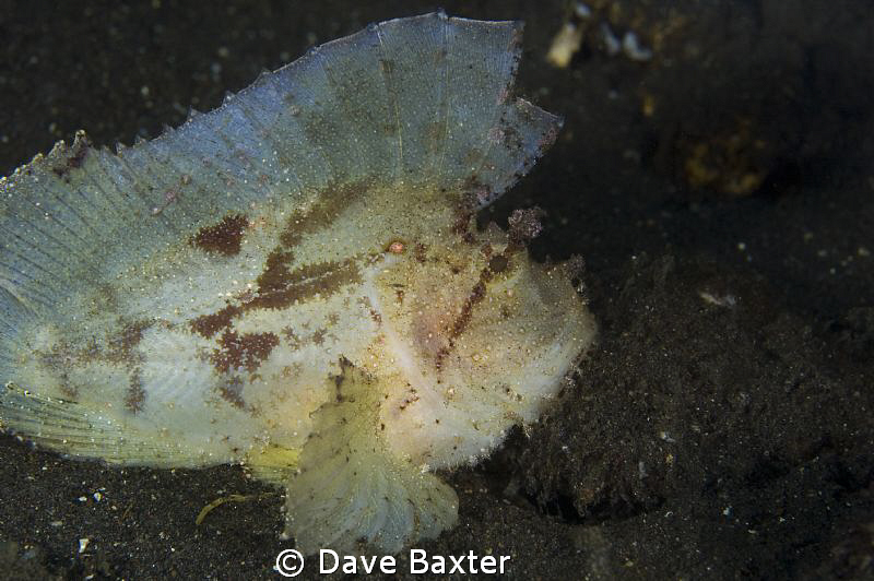 taken Bali sea by Dave Baxter 