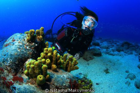 Lava formation, rock and sponge with diver by Natasha Maksymenko 