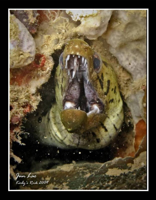 Silent Scream by Jun Lao 