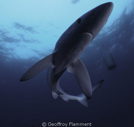 May 2009, 35nm offshore. by Geoffroy Flamment 