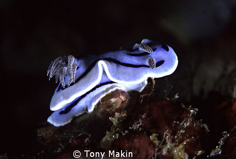 Exhausted by Tony Makin 