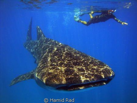 Me & my new friend. photo taken by my buddy Seba... by Hamid Rad 