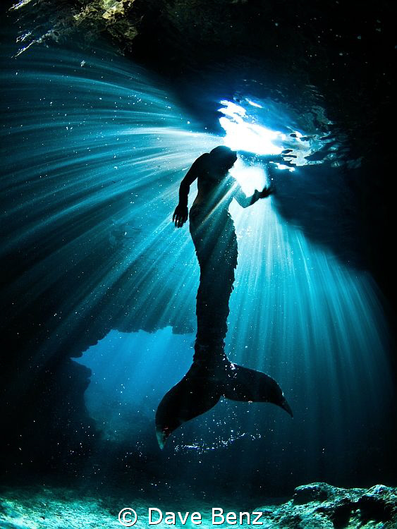 I ever thought that mermaids are not real...so what ??? by Dave Benz 