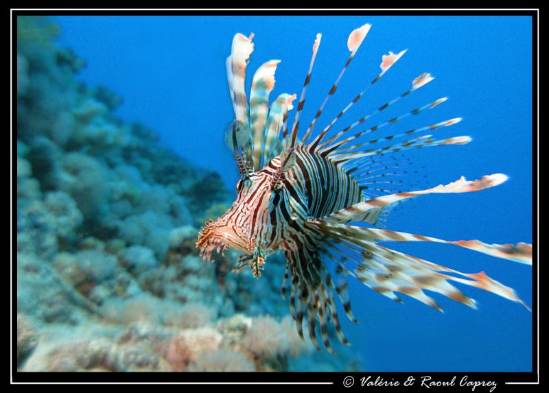 Picture taken with a Canon G9. by Raoul Caprez 